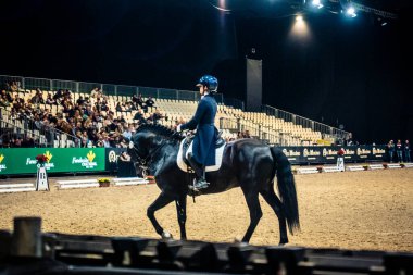 Seville, İspanya, 20 Kasım 2025. Sevilla 'daki Uluslararası At Fuarı, SICAB' de yarışma. 350 'den fazla üreticisi olan İspanyol atları dünyanın en büyük sergisi..