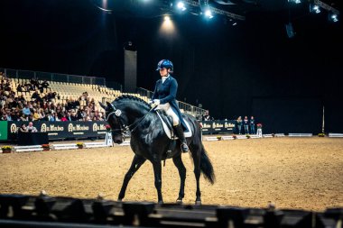 Seville, İspanya, 20 Kasım 2025. Sevilla 'daki Uluslararası At Fuarı, SICAB' de yarışma. 350 'den fazla üreticisi olan İspanyol atları dünyanın en büyük sergisi..