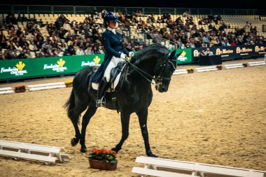 Seville, İspanya, 20 Kasım 2025. Sevilla 'daki Uluslararası At Fuarı, SICAB' de yarışma. 350 'den fazla üreticisi olan İspanyol atları dünyanın en büyük sergisi..