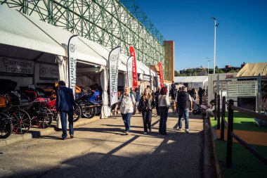 Seville, İspanya, 20 Kasım 2025 Uluslararası At Fuarı, 18-23 Kasım tarihleri arasında Sevilla 'da. 350 'den fazla üreticisi olan İspanyol atları dünyanın en büyük sergisi..