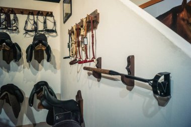 Seville, İspanya, 22 Kasım 2025 Uluslararası At Gösterisi, SICAB, 18-23 Kasım tarihleri arasında Sevilla 'da. 350 'den fazla üreticisi olan İspanyol atları dünyanın en büyük sergisi..