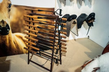 Seville, İspanya, 22 Kasım 2025 Uluslararası At Gösterisi, SICAB, 18-23 Kasım tarihleri arasında Sevilla 'da. 350 'den fazla üreticisi olan İspanyol atları dünyanın en büyük sergisi..