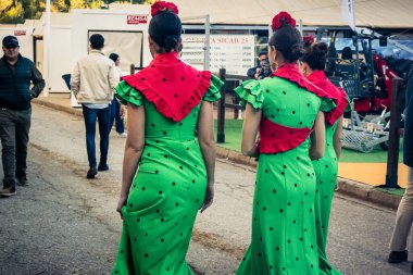 Seville, İspanya, 22 Kasım 2025 Uluslararası At Gösterisi, SICAB, 18-23 Kasım tarihleri arasında Sevilla 'da. 350 'den fazla üreticisi olan İspanyol atları dünyanın en büyük sergisi..