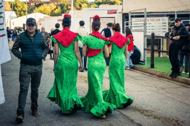 Seville, İspanya, 22 Kasım 2025 Uluslararası At Gösterisi, SICAB, 18-23 Kasım tarihleri arasında Sevilla 'da. 350 'den fazla üreticisi olan İspanyol atları dünyanın en büyük sergisi..