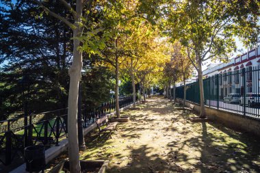 Carmona, İspanya, 3 Aralık 2025 Garden ve İspanya 'nın güneyindeki Carmona' da bir caddede. Ağaçlar sonbaharın renklerini alıyor.