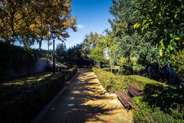 Carmona, İspanya, 3 Aralık 2025 Garden ve İspanya 'nın güneyindeki Carmona' da bir caddede. Ağaçlar sonbaharın renklerini alıyor.