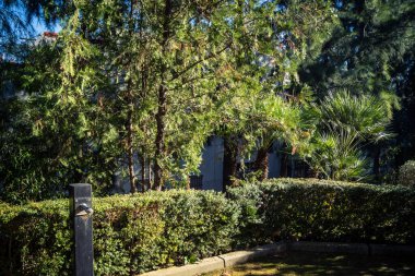 Carmona, İspanya, 3 Aralık 2025 Garden ve İspanya 'nın güneyindeki Carmona' da bir caddede. Ağaçlar sonbaharın renklerini alıyor.