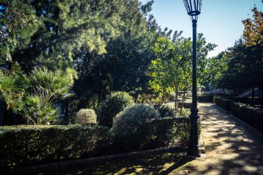 Carmona, İspanya, 3 Aralık 2025 Garden ve İspanya 'nın güneyindeki Carmona' da bir caddede. Ağaçlar sonbaharın renklerini alıyor.