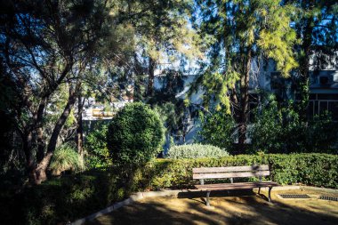 Carmona, İspanya, 3 Aralık 2025 Garden ve İspanya 'nın güneyindeki Carmona' da bir caddede. Ağaçlar sonbaharın renklerini alıyor.