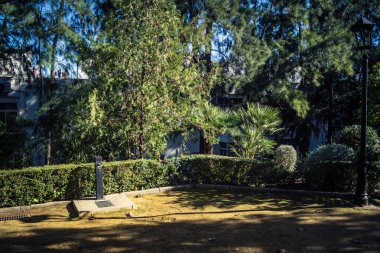 Carmona, İspanya, 3 Aralık 2025 Garden ve İspanya 'nın güneyindeki Carmona' da bir caddede. Ağaçlar sonbaharın renklerini alıyor.