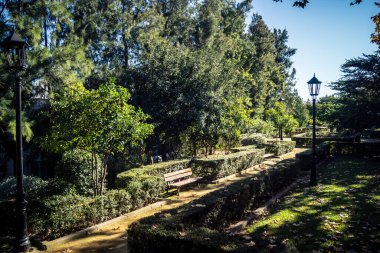 Carmona, İspanya, 3 Aralık 2025 Garden ve İspanya 'nın güneyindeki Carmona' da bir caddede. Ağaçlar sonbaharın renklerini alıyor.