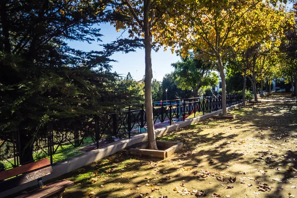 Carmona, İspanya, 3 Aralık 2025 Garden ve İspanya 'nın güneyindeki Carmona' da bir caddede. Ağaçlar sonbaharın renklerini alıyor.