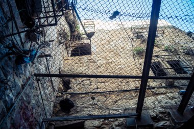 Hebron, Batı Şeria, 17 Aralık 2025 Eski Şehirdeki Filistin sokaklarına kurulmuş koruyucu metal ağlar İsrailli yerleşimcilerin yukarıdaki evlerden attığı taş ve enkazı yakalamak için.