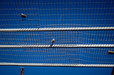 Hebron, Batı Şeria, 17 Aralık 2025 Eski Şehirdeki Filistin sokaklarına kurulmuş koruyucu metal ağlar İsrailli yerleşimcilerin yukarıdaki evlerden attığı taş ve enkazı yakalamak için.