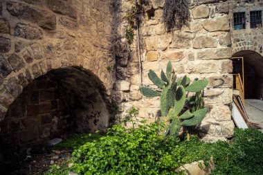 Hebron, Batı Şeria, 19 Aralık 2025 Eski Şehir 'deki dar sokaklar ve taş kemerler. Geleneksel mimari, bu Filistin yönetimindeki bölgede muhafaza edilen kültürel mirası sergiliyor..