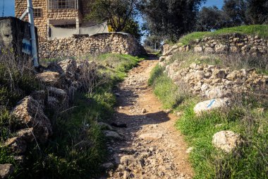 Hebron, Batı Şeria, 22 Aralık 2025 Tel Rumeida 'nın tepelerinde, doğanın askeri bariyerlerle çarpıştığı zeytin koruluklarının arasındaki dikenli teller tarafından engellenmiş bir yürüyüş yolu..