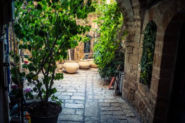 Tel Aviv, İsrail, 11 Ocak 2026 Eski Jaffa şehrindeki tarihi dar kireçtaşı geçitlerinin manzarası. Antik liman kentleri mimarisi binlerce yıllık Akdeniz tarihini yansıtıyor.