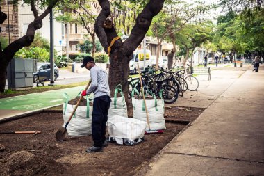 Tel Aviv, İsrail, 14 Ocak 2026 Tel Aviv 'deki Rothschild Bulvarı' nın canlı, ağaçlarla kaplı merkezi caddesi şehrin modern şehir yaşam tarzını yansıtıyor..