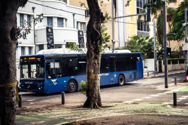 Tel Aviv, İsrail, 14 Ocak 2026 Autobus Rothschild Bulvarı boyunca hareketli, ağaçlarla çevrili bir merkez caddede ilerler. Şehir hareketliliğini ve akışını koruyan modern şehir yaşam tarzını yansıtır..