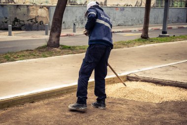 Tel Aviv, İsrail, 21 Ocak 2026 Tel Aviv Şehir Parkları Departmanı 'nın bir çalışanı Rothschild Bulvarı' na dekoratif çakıl yayıyor..
