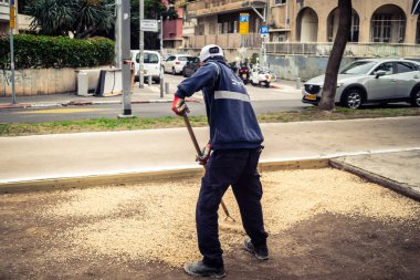 Tel Aviv, İsrail, 21 Ocak 2026 Tel Aviv Şehir Parkları Departmanı 'nın bir çalışanı Rothschild Bulvarı' na dekoratif çakıl yayıyor..