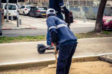 Tel Aviv, İsrail, 21 Ocak 2026 Tel Aviv Şehir Parkları Departmanı 'nın bir çalışanı Rothschild Bulvarı' na dekoratif çakıl yayıyor..