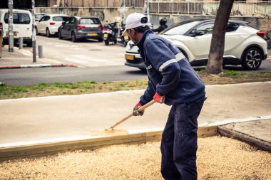 Tel Aviv, İsrail, 21 Ocak 2026 Tel Aviv Şehir Parkları Departmanı 'nın bir çalışanı Rothschild Bulvarı' na dekoratif çakıl yayıyor..