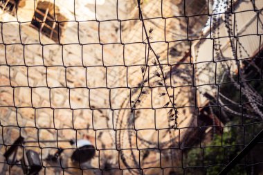 Hebron, Batı Şeria, 29 Ocak 2026 H2 bölgesindeki eski Filistin sokaklarına kurulmuş koruyucu metal ağlar İsrailli yerleşimcilerin yukarıdaki evlerden attıkları taş ve enkazı yakalamak için kullanıldı..