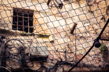 Hebron, Batı Şeria, 29 Ocak 2026 H2 bölgesindeki eski Filistin sokaklarına kurulmuş koruyucu metal ağlar İsrailli yerleşimcilerin yukarıdaki evlerden attıkları taş ve enkazı yakalamak için kullanıldı..