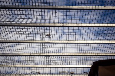 Hebron, Batı Şeria, 29 Ocak 2026 H2 bölgesindeki eski Filistin sokaklarına kurulmuş koruyucu metal ağlar İsrailli yerleşimcilerin yukarıdaki evlerden attıkları taş ve enkazı yakalamak için kullanıldı..