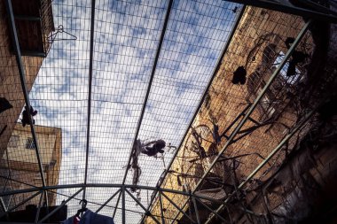 Hebron, Batı Şeria, 29 Ocak 2026 H2 bölgesindeki eski Filistin sokaklarına kurulmuş koruyucu metal ağlar İsrailli yerleşimcilerin yukarıdaki evlerden attıkları taş ve enkazı yakalamak için kullanıldı..