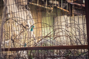 Hebron, Batı Şeria, 29 Ocak 2026 Dikenli tel ve mühürlü kapılar İsrail 'in El Halil' deki askeri işgalini zorunlu kılıyor. H2 sektöründeki güvenlik bariyerleri tarihi merkezi hayalet kasabaya çevirdi..