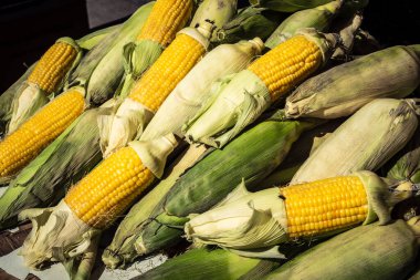 Hebron, Filistin Bölgesi, 5 Şubat 2026 Eski El Halil 'deki geleneksel açık hava pazarı. Yerel bir tezgahta taze meyve ve sebzeler, Batı Şeria merkezinde günlük yaşamı ve ticareti gösteriyor..