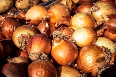 Hebron, Filistin Bölgesi, 5 Şubat 2026 Eski El Halil 'deki geleneksel açık hava pazarı. Yerel bir tezgahta taze meyve ve sebzeler, Batı Şeria merkezinde günlük yaşamı ve ticareti gösteriyor..