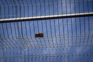 Hebron, Filistin Toprakları, 7 Şubat 2026 Eski Şehir H2 bölgesindeki Filistin sokaklarında bulunan koruyucu metal ağları İsrailli yerleşimcilerin yukarıdaki evlerden attıkları taş ve enkazı yakalamak için kullanıldı..