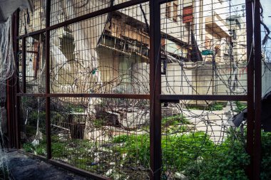 Hebron, Batı Şeria, 7 Şubat 2026 Dikenli tel ve mühürlü kapılar İsrail 'in El Halil' deki askeri işgalini zorunlu kılıyor. H2 sektöründeki güvenlik bariyerleri tarihi merkezi hayalet kasabaya çevirdi..