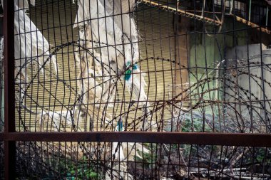 Hebron, Batı Şeria, 7 Şubat 2026 Dikenli tel ve mühürlü kapılar İsrail 'in El Halil' deki askeri işgalini zorunlu kılıyor. H2 sektöründeki güvenlik bariyerleri tarihi merkezi hayalet kasabaya çevirdi..