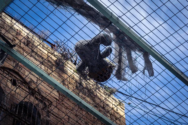 Hebron, Filistin Toprakları, 7 Şubat 2026 Eski Şehir H2 bölgesindeki Filistin sokaklarında bulunan koruyucu metal ağları İsrailli yerleşimcilerin yukarıdaki evlerden attıkları taş ve enkazı yakalamak için kullanıldı..