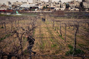 Beit Einun, Batı Şeria, 9 Şubat 2026. Ana yol kapandığı için köy sakinleri toprak bir yan yoldan geçerek köylerine giriyor. İsrail ordusunun kontrolü altındaki günlük mücadele sahnesi.