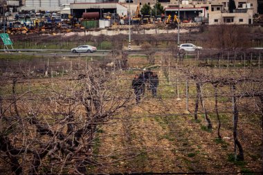 Beit Einun, Batı Şeria, 9 Şubat 2026. Ana yol kapandığı için köy sakinleri toprak bir yan yoldan geçerek köylerine giriyor. İsrail ordusunun kontrolü altındaki günlük mücadele sahnesi.