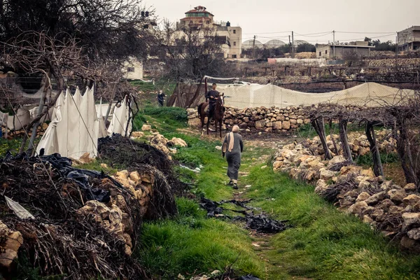 Beit Einun, Batı Şeria, 9 Şubat 2026. Ana yol kapandığı için köy sakinleri toprak bir yan yoldan geçerek köylerine giriyor. İsrail ordusunun kontrolü altındaki günlük mücadele sahnesi.