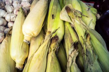 Hebron, Batı Şeria, Filistin - 12 Şubat 2026 Eski El Halil 'deki geleneksel bir sokak tezgahında taze sebzeler sergileniyor. Filistin topraklarında günlük ekonomik faaliyet ve ticaret.