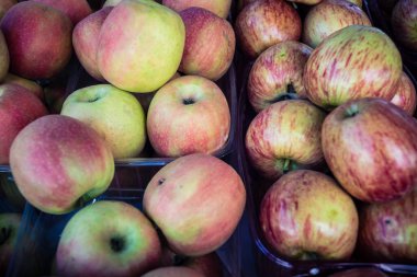 Hebron, Batı Şeria, Filistin - 12 Şubat 2026 Eski El Halil 'deki geleneksel pazarda satılık taze meyve sergisi. Filistin topraklarında günlük yaşam ve yerel ticaret.