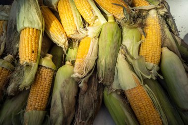 Hebron, Batı Şeria, Filistin - 12 Şubat 2026 Eski El Halil 'deki geleneksel bir sokak tezgahında taze sebzeler sergileniyor. Filistin topraklarında günlük ekonomik faaliyet ve ticaret.