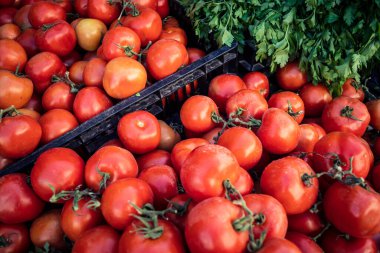 Hebron, Batı Şeria, Filistin - 12 Şubat 2026 Eski El Halil 'deki geleneksel bir sokak tezgahında taze sebzeler sergileniyor. Filistin topraklarında günlük ekonomik faaliyet ve ticaret.