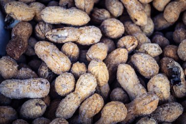 Hebron, Batı Şeria, Filistin - 12 Şubat 2026 El Halil 'deki geleneksel bir pazarda satılığa çıkarılmış çeşitli meyve ve fındıklar. Filistin topraklarında yerel ticaret ve ekonomi.