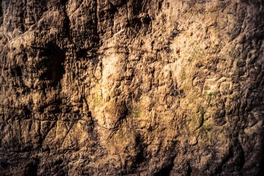 Kudüs, Şubat 2026: İsa 'nın Cezaevi' nin taş duvarlarına yüzyıllar boyunca hacılar tarafından oyulmuş antik karakterler ve adanmışlık işaretleri. Eski Şehir 'de inancın tarihi bir kaydı.