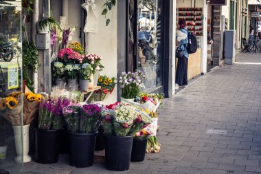 Tel Aviv, İsrail, 26 Şubat 2026, Sheinkin Caddesi Manzarası, şehir perspektifi, efsanevi Bauhaus çizgileri, beyaz cephelerdeki ritmik gölge desenleri, canlı şehir atmosferi, yoğun bakım ünitesinin gözlemlediği yapısal zarafet ve kademeli ışık..