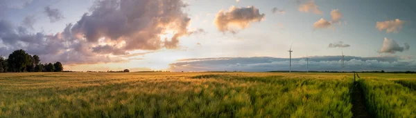Vue Panoramique Belle Scène Campagne Champs Cultivés Avec Des Éoliennes — Photo