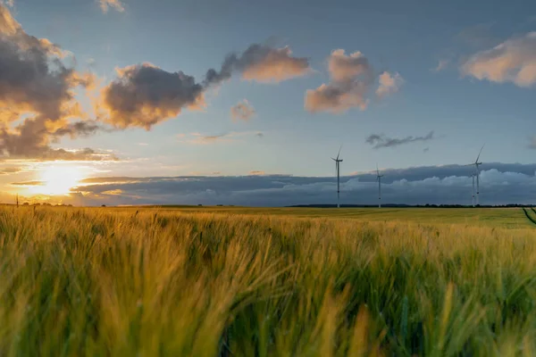 Panoramablick Auf Schöne Landschaft Bewirtschaftete Felder Mit Windrädern Ländliche Landschaft — Stockfoto